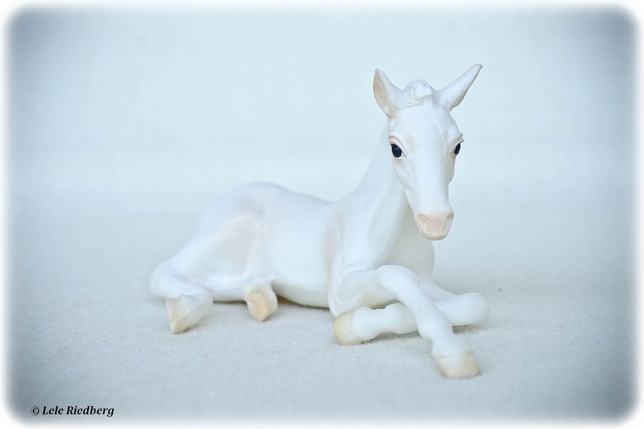その他 C. BREYER 2002 Sugarplum and Peppermint s-l400.jpg